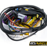 02-05 LEXUS IS300 & 02-05 GS300 PNP FOR EMU BLACK