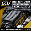 GDI with EMU PRO Training Course July 16-18 2026