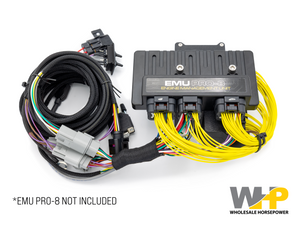 Polaris RZR Pro R Adapter - ECUMaster USA