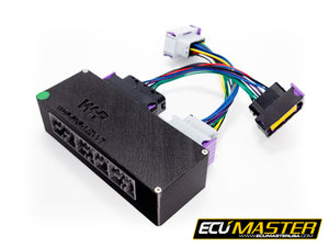 JZX100 VVTi 1JZGTE PNP For EMU Classic - ECUMaster USA