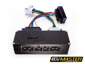 JZX100 VVTi 1JZGTE PNP For EMU BLACK - ECUMaster USA