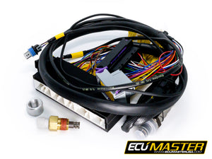 2001 LEXUS IS300 & 98-01 GS300 PNP FOR EMU BLACK - ECUMaster USA