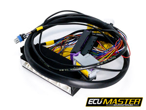2001 LEXUS IS300 & 98-01 GS300 PNP FOR EMU BLACK - ECUMaster USA