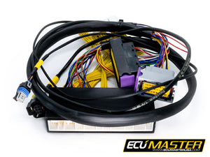2001 LEXUS IS300 & 98-01 GS300 PNP FOR EMU BLACK - ECUMaster USA